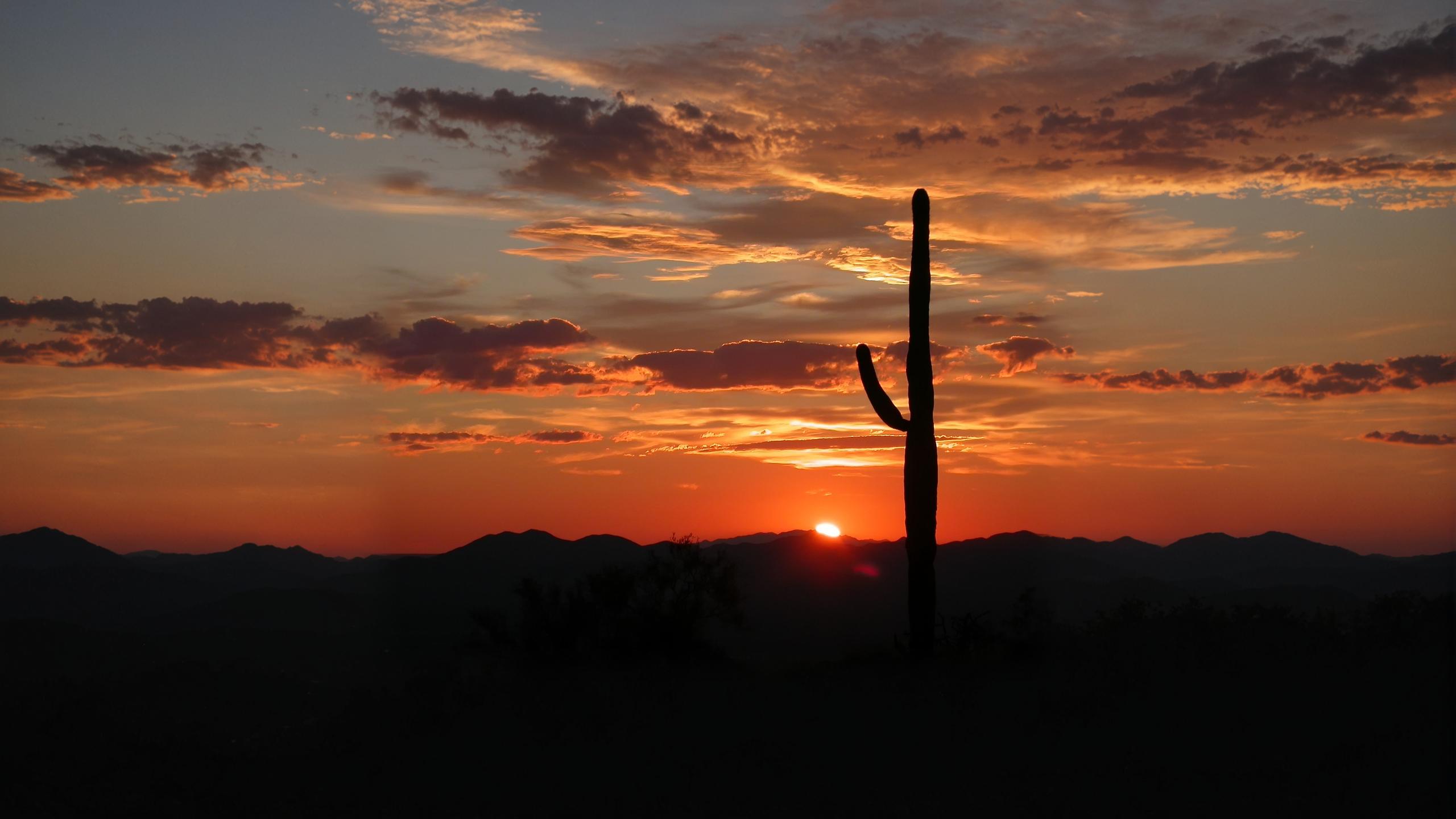 "Immerse yourself in the serene beauty of nature as the sun sets behind a majestic Saguaro cactus, with the silhouettes of distant mountains completing the panoramic view. Enhance your experience with 'Zoom out', a powerful tool from Stable Assistant that seamlessly extends your image, adding depth and detail to create a truly immersive visual journey."